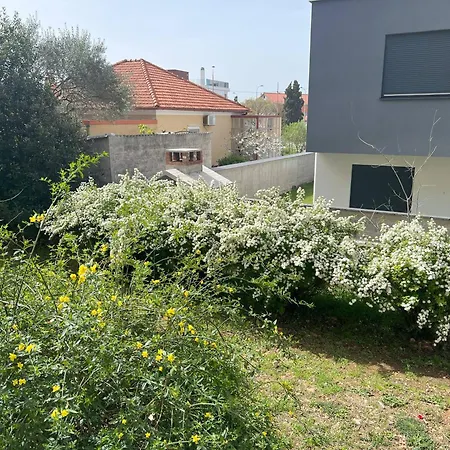 Melody Apartament *